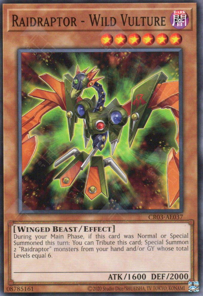 yugioh raidraptor cards YuGiOh Dimension of Chaos Common Raidraptor