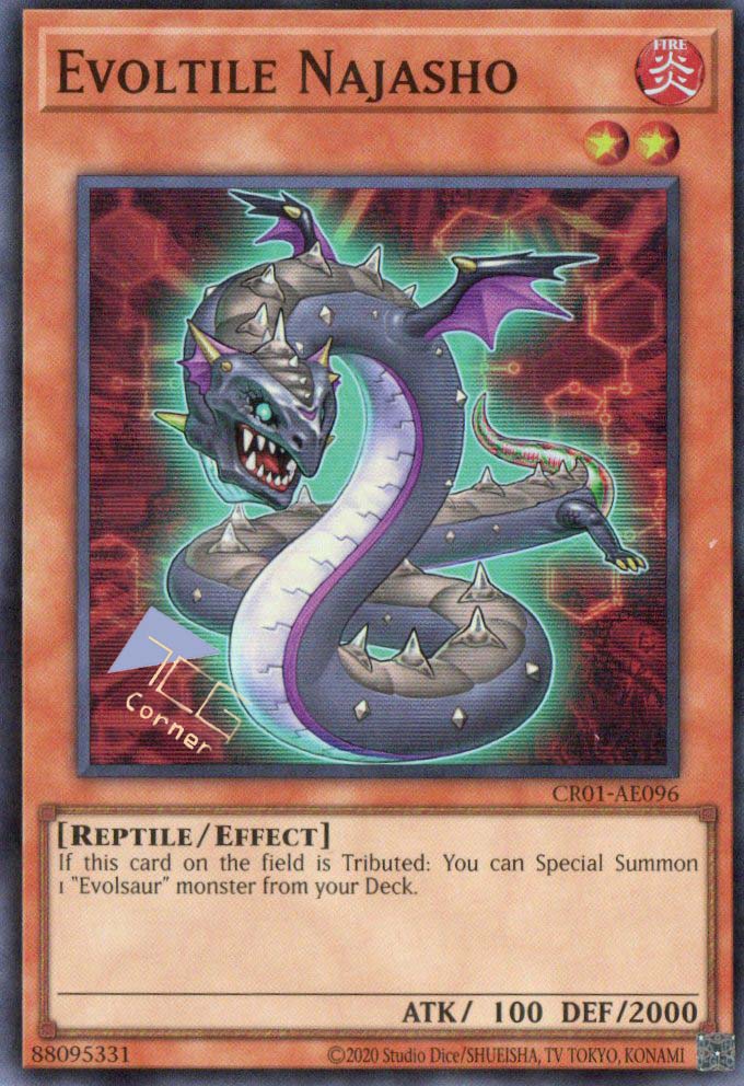 yugioh evolsaur cards Yugioh Complete Evolsaur Deck 40 Cards Laggia Dolkka Solda Westl **HOT** + Bonus