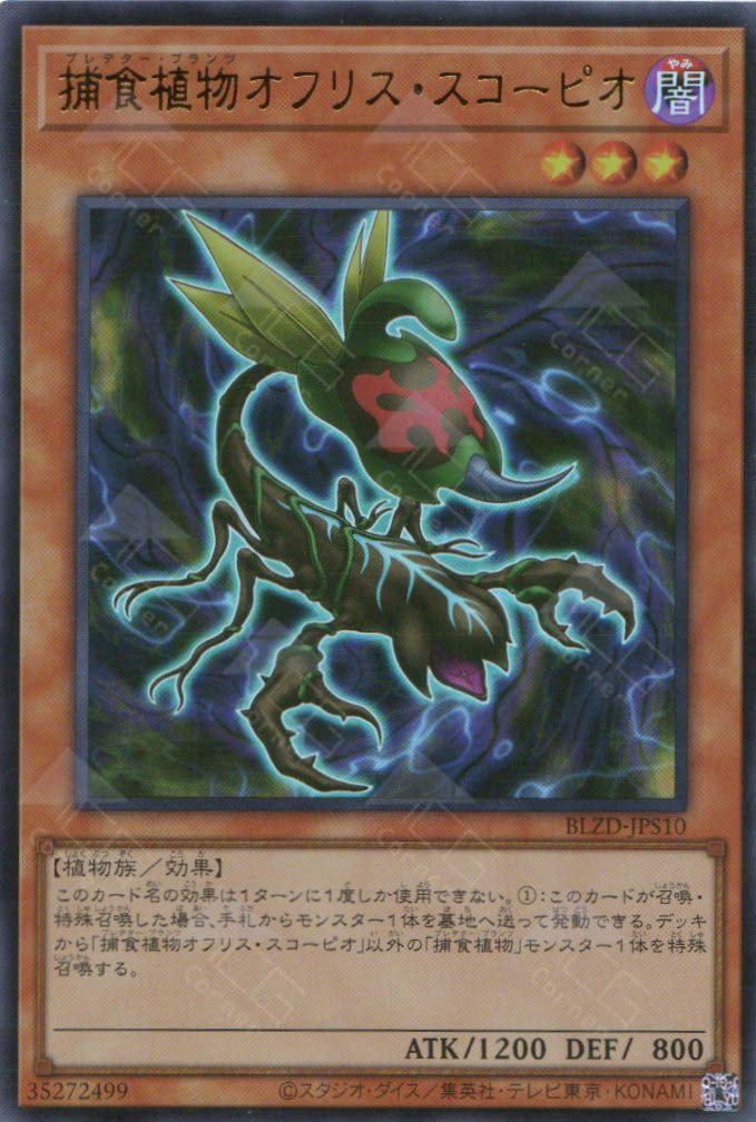 BLZD-JPS10 Predaplant Ophrys Scorpio (UR) – TCG Corner