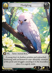 HVN-048Fledgling (Common)