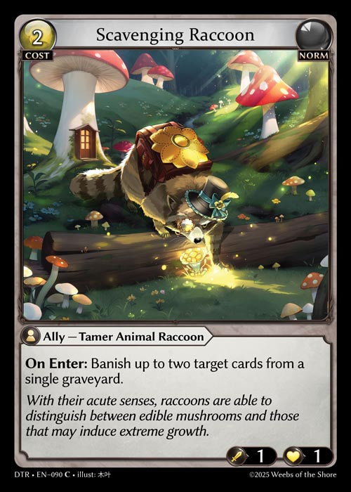 DTR-090 Scavenging Raccoon (Common)