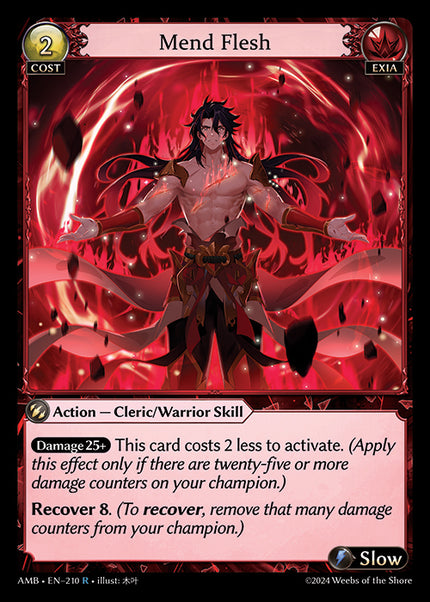 AMB-210 Mend Flesh (R)