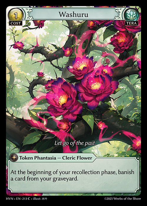 HVN-213Washuru (Common)