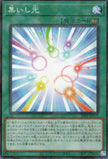 24PP-JP010 Gathering Light (P-N)