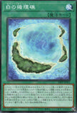 24PP-JP015 White Circle Reef (N)