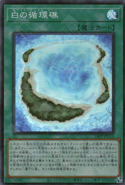 24PP-JP015 White Circle Reef (SR)