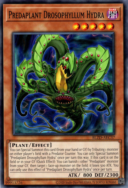 BLZD-AEC37 Predaplant Drosophyllum Hydra (N)