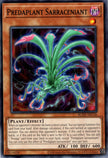 BLZD-AEC36 Predaplant Sarraceniant (N)