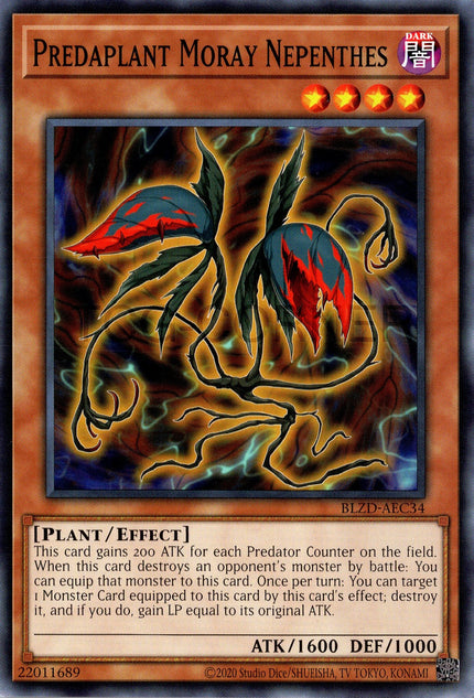 BLZD-AEC34 Predaplant Moray Nepenthes (N)