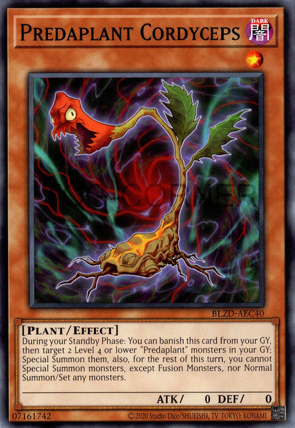 BLZD-AEC40 Predaplant Cordyceps (N)