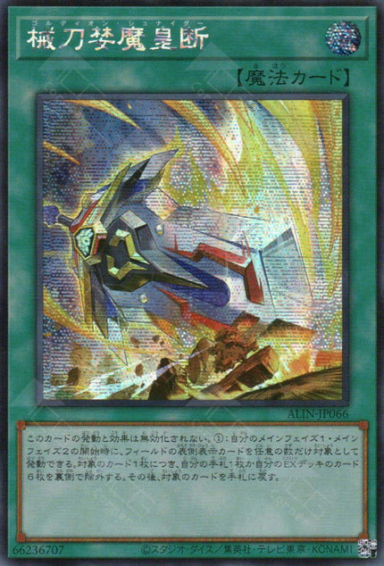 ALIN-JP066 Gordian Schneider (SER)