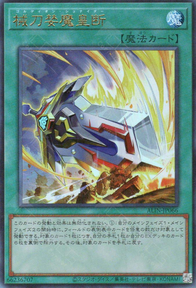 ALIN-JP066 Gordian Schneider (UL)