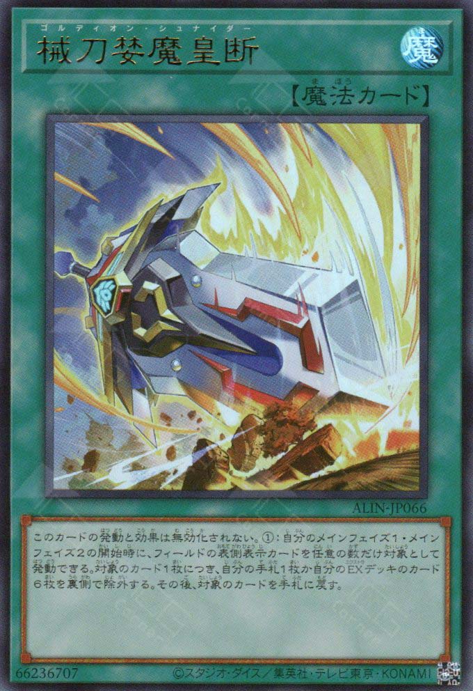 ALIN-JP066 Gordian Schneider (UR)