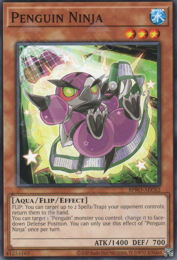 BPRO-AEC62 Penguin Ninja (N)