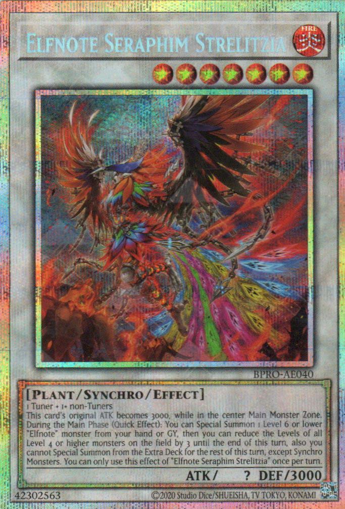 BPRO-AE040 Elfnote Seraphim Strelitzia (PSER)