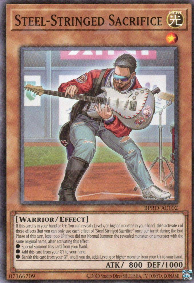 BPRO-AE102 Steel-Stringed Sacrifice (N)