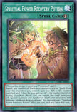 CORI-AE060 Spiritual Power Recovery Potion (N)