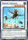 CORI-AE109 Desert Locusts (N)