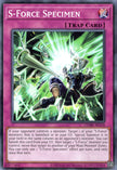CORI-AE118 S-Force Specimen (N)