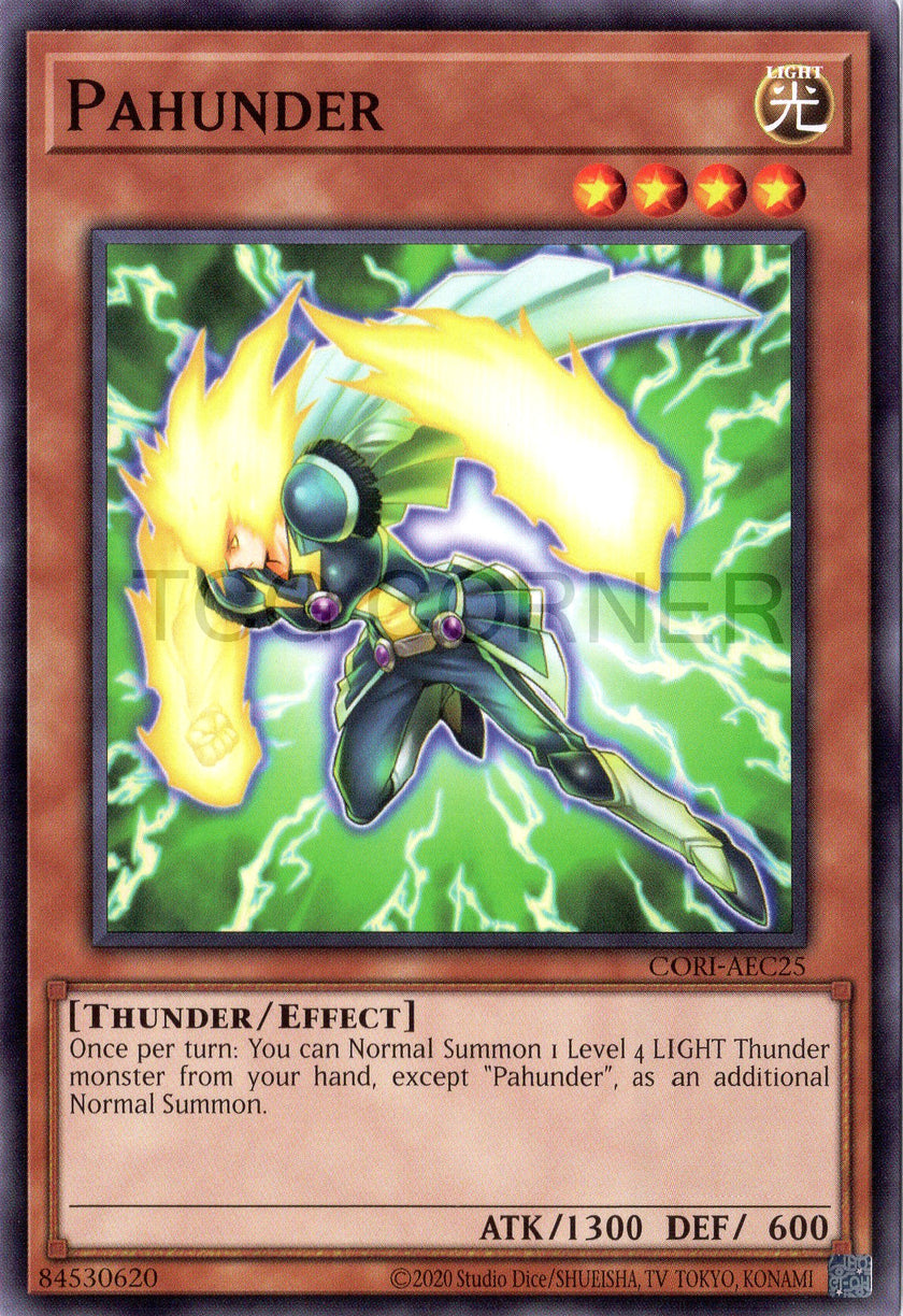 CORI-AEC25 Pahunder (N)