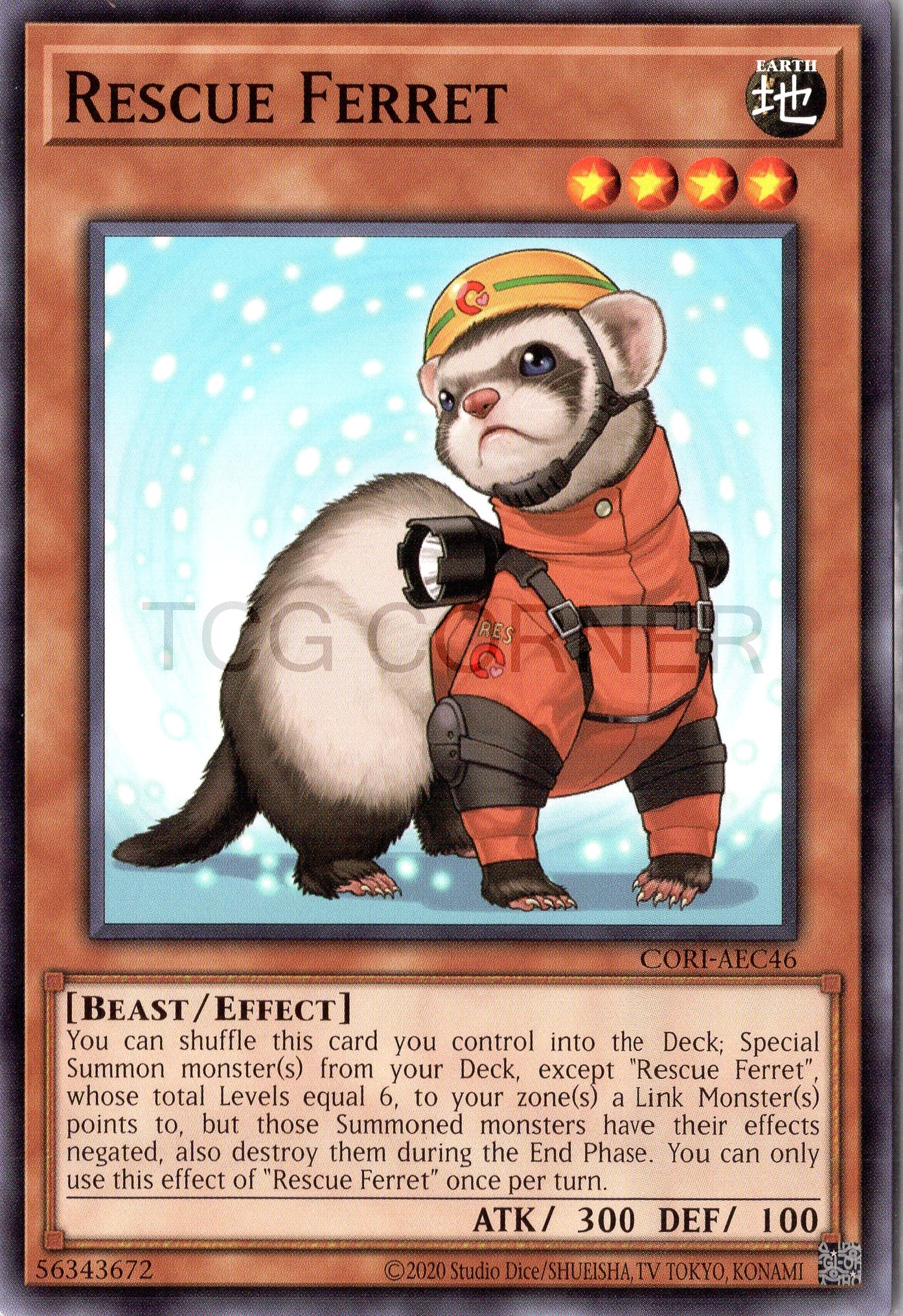 CORI-AEC46 Rescue Ferret (N)