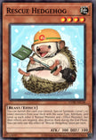 CORI-AEC48 Rescue Hedgehog (N)