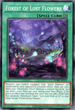 CORI-AEC55 Forest of Lost Flowers (N)