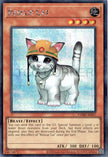 CORI-AES07 Rescue Cat (SER)