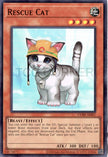 CORI-AES07 Rescue Cat (UR)