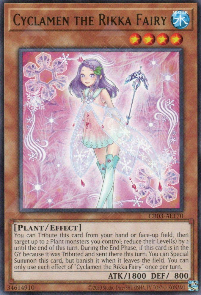 CR03-AE170 Cyclamen the Rikka Fairy (R)