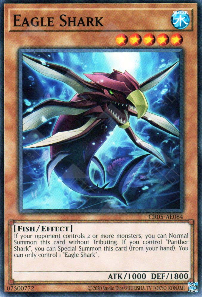 CR05-AE084  Eagle Shark (N)