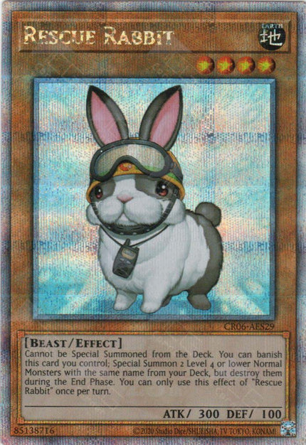 CR06-AES29 Rescue Rabbit (QCSR)