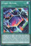 CR07-AE043 Cynet Ritual (N)