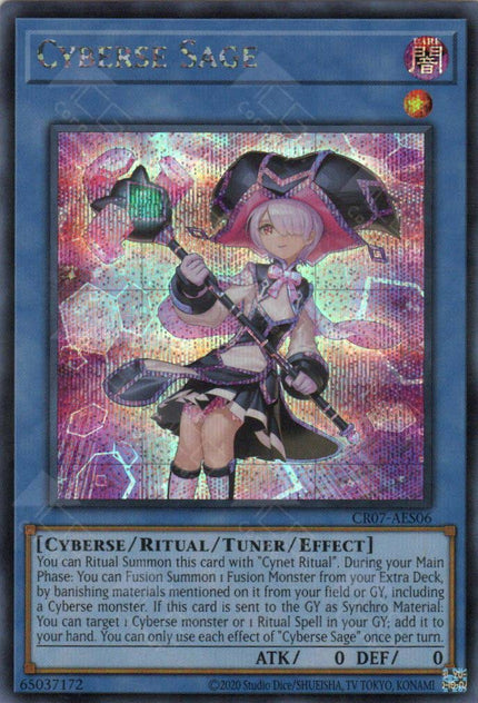 CR07-AES06 Cyberse Sage (SER)