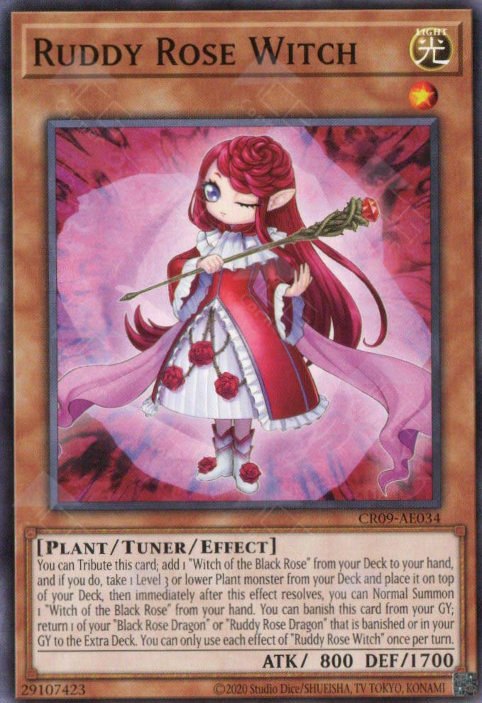 CR09-AE034 Ruddy Rose Witch (N)