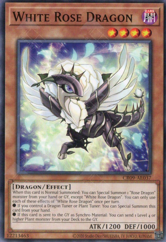 CR09-AE037 White Rose Dragon (N)