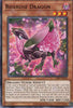 CR09-AE038 Roxrose Dragon (N)