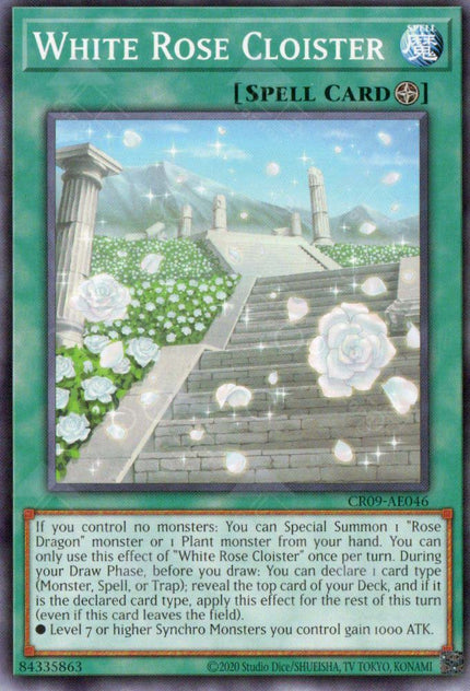 CR09-AE046 White Rose Cloister (N)