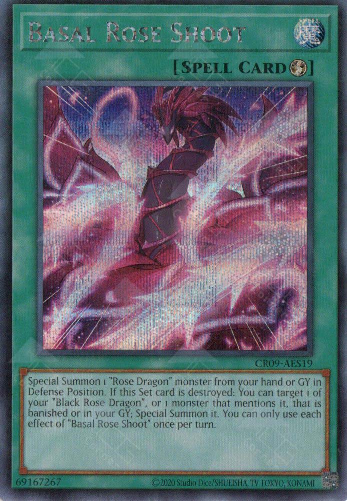 CR09-AES19 Basal Rose Shoot (SER)