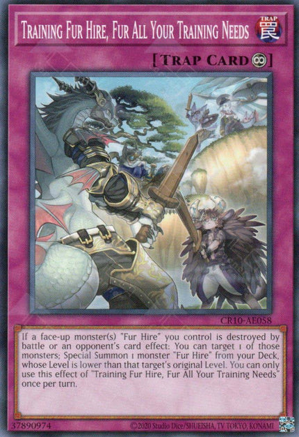 CR10-AE058 Training Fur Hire, Fur All Your Training Needs (N)