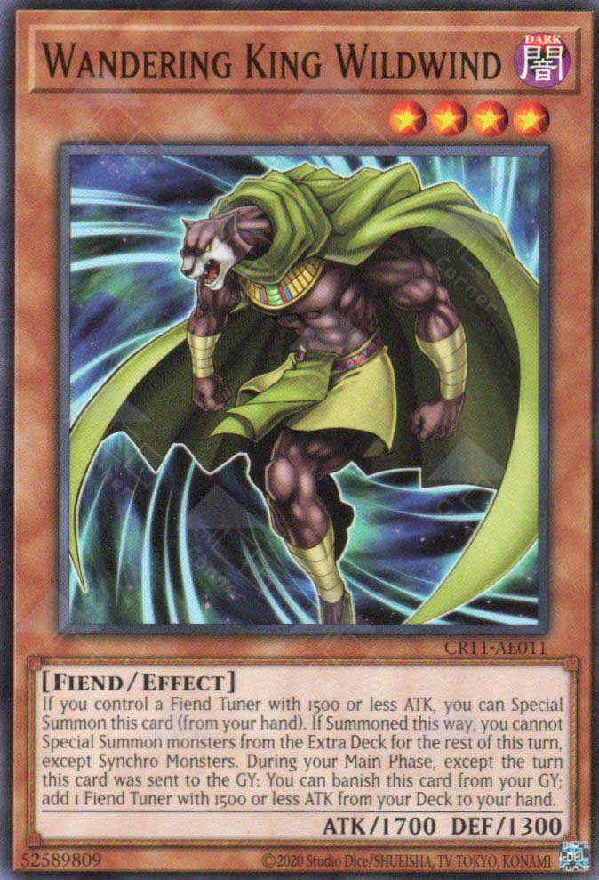 CR11-AE011 Wandering King Wildwind (N)