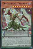CR11-AE036 Predaplant Triantis (SR)