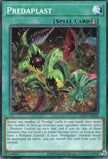 CR11-AE048 Predaplast (N)