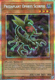 CR11-AES10 Predaplant Ophrys Scorpio (PSER)