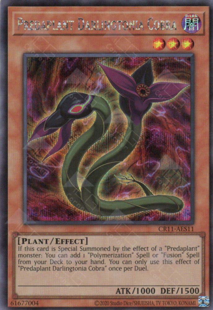 CR11-AES11 Predaplant Darlingtonia Cobra (SER)