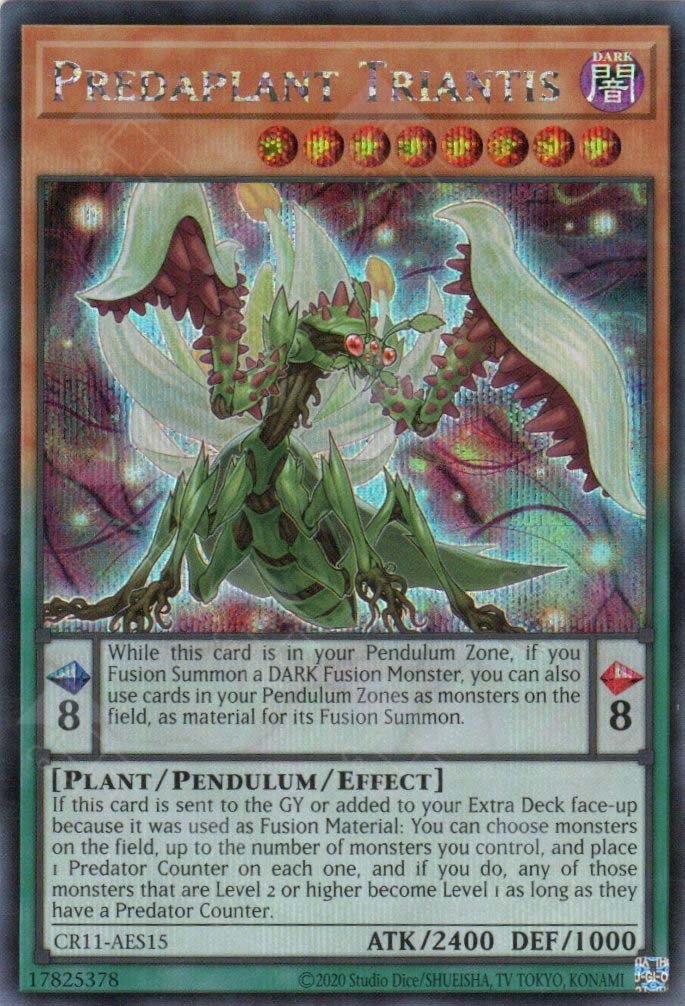 CR11-AES15 Predaplant Triantis (SER)