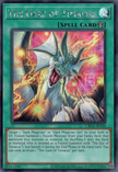 CR13-AE100 The Gaze of Timaeus (SER)