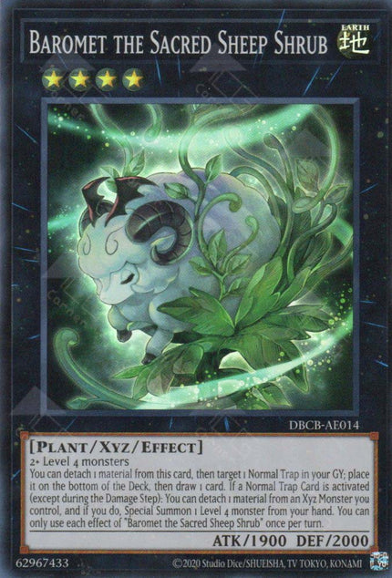 DBCB-AE014 Baromet the Sacred Sheep Shrub (SR)