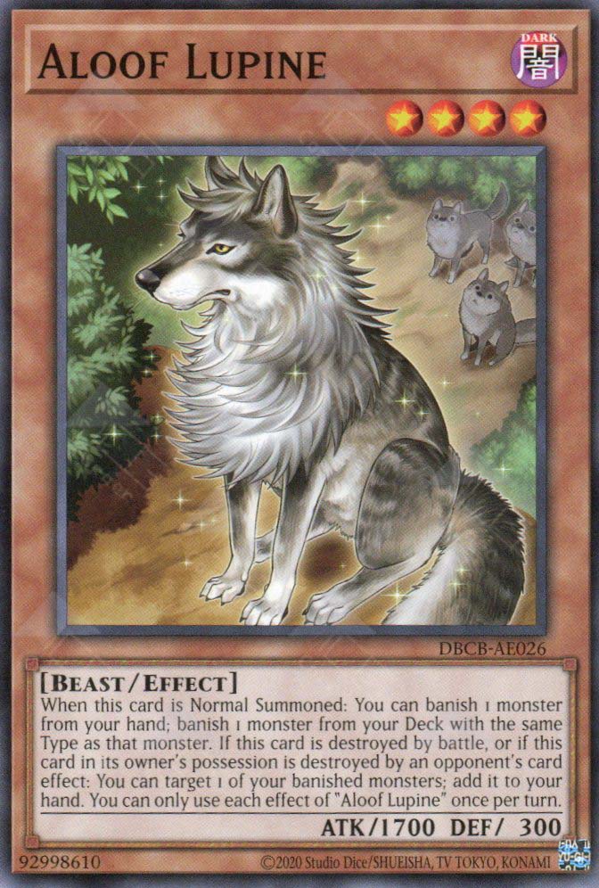 DBCB-AE026 Aloof Lupine (N)