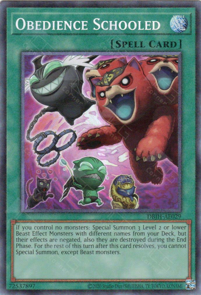 DBJH-AE029 Obedience Schooled (CR)